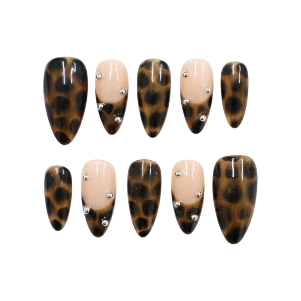 Wild Tortoise – Press On Premium