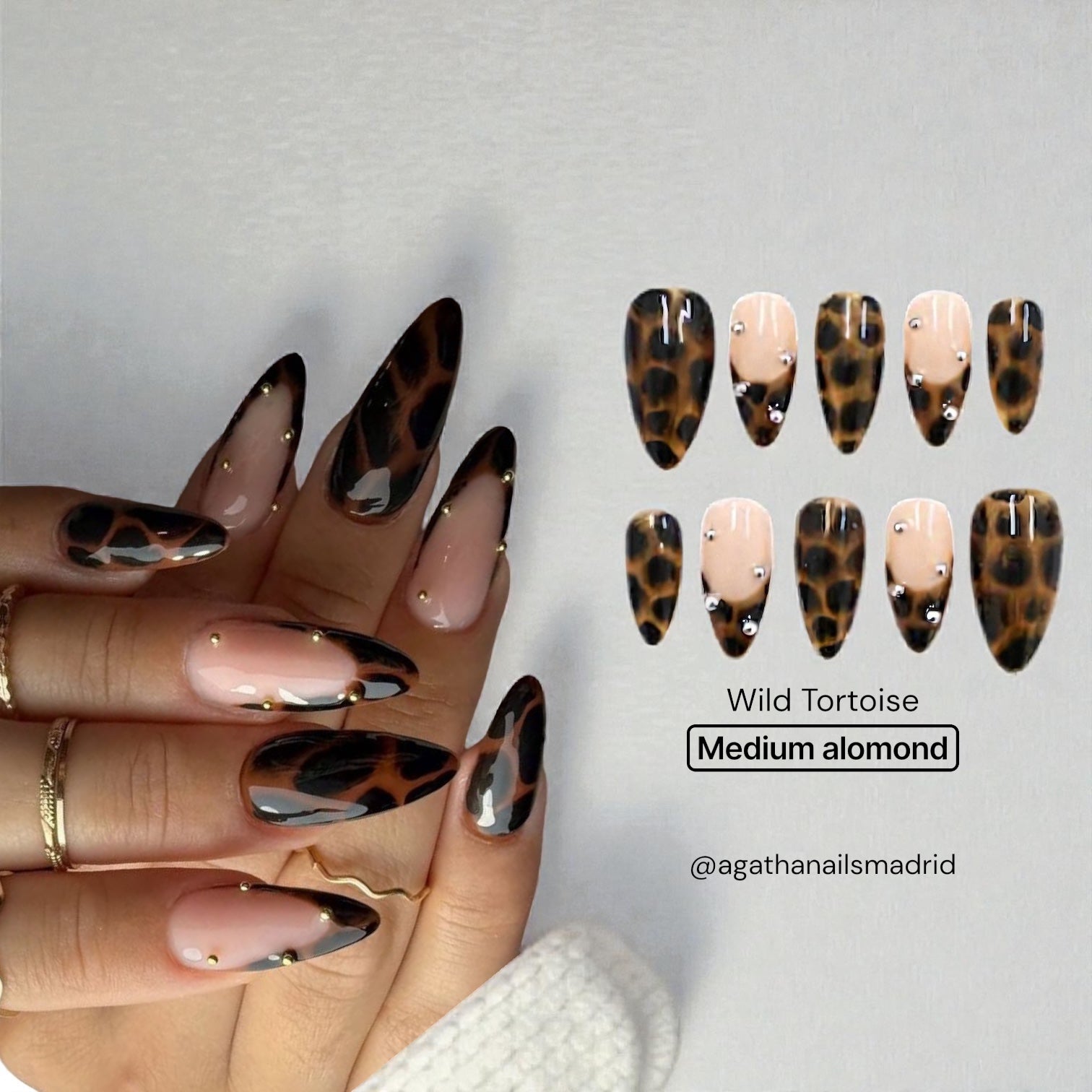 Wild Tortoise – Press On Premium